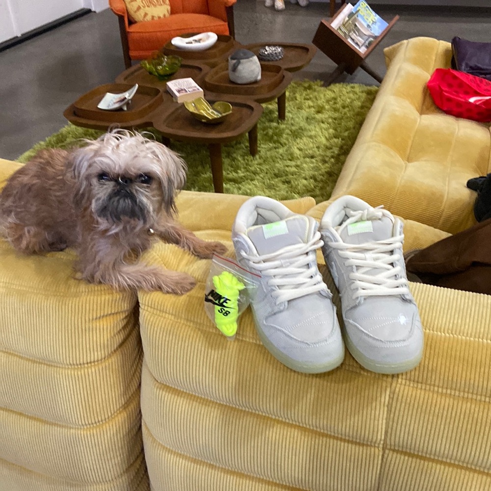 Nike SB Shoes